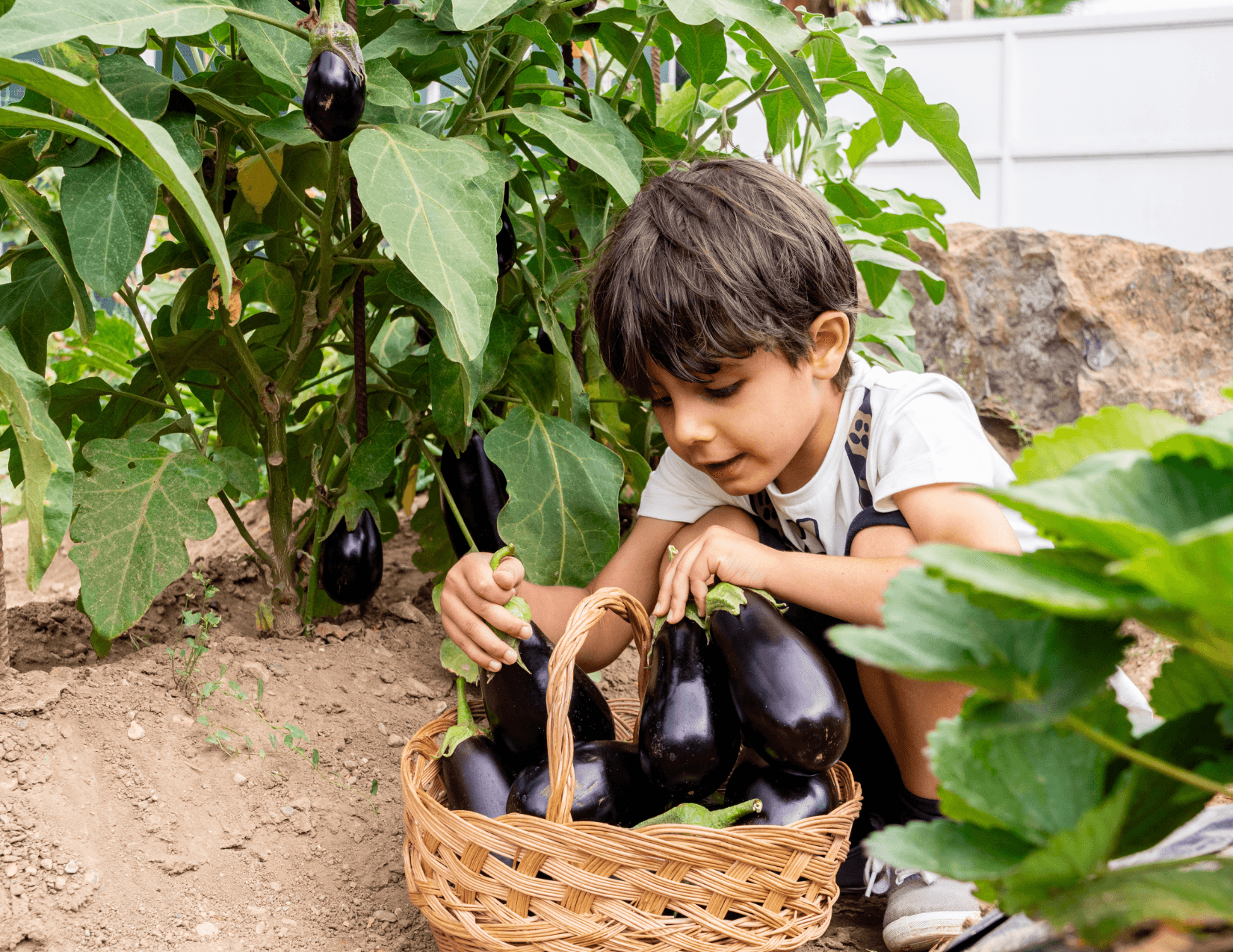 Lower Elementary classroom